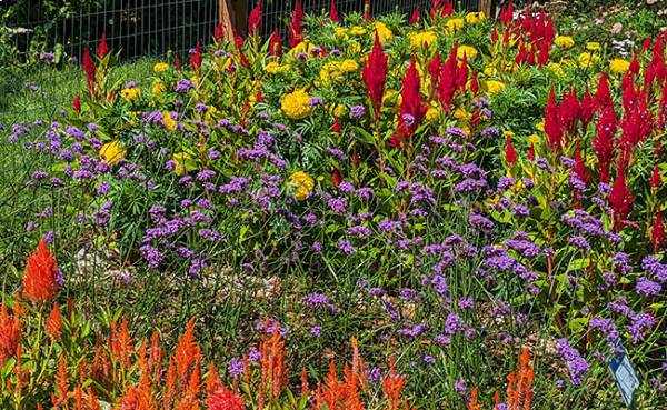 Rutgers Garden